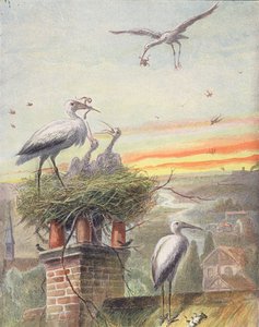 コウノトリの巣（カラーリトグラフ）