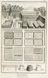 デニスディドロの科学、芸術、工学百科事典（1713-84）、c.1770の菜園 作： French School