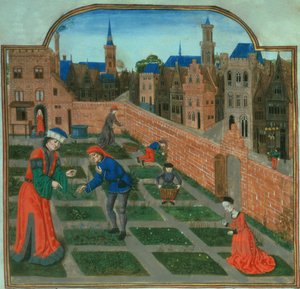 追加 19720 f.165 Pietro de Crescenzi (1230-1320) 作「Livre des Profits Ruraux」より、壁に囲まれた町の庭 (ベラム) 作： French School