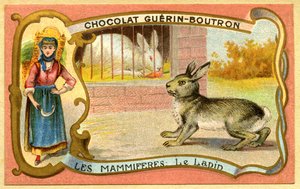 チョコレートの広告クロモリトグラフィーゲリン・ブトロン、哺乳類、ウサギの檻と野生のウォーレン 作： French School
