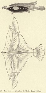 ミシェル・ルプの飛行機（1852年）（彫刻 作： French School