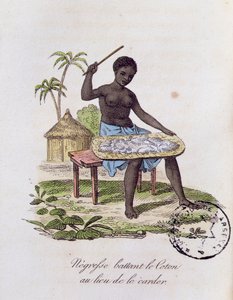 アフリカの女性が綿を打つ
