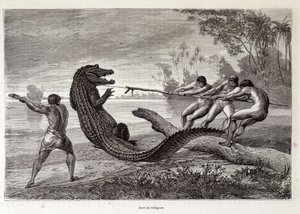 ワニ狩り（ブラジル）、「世界一周」第2週1874年 作： French School