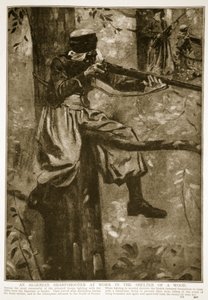 森の避難所で働いているアルジェリアの狙撃兵、1914年〜19年 作： French School