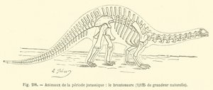 ジュラ紀の動物、ブロントサウルス（彫刻作品 作： French School