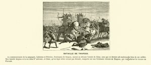 タプソスの戦い（北アフリカ、カエサルの内戦、紀元前46年）（エングレーヴィング 作： French School