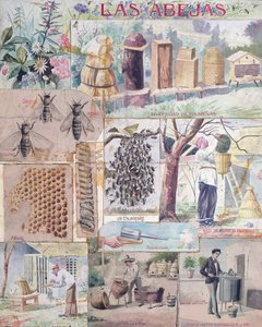 蜂の文化、メキシコでの出版を目的としたフランス製のイラスト、c。 1900 作： French School