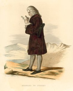 ベルナール・ド・ジュシュー（彩色済み彫刻 作： French School