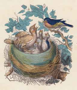 巣の中で雛に餌をやる鳥 (着色された彫刻) 作： French School
