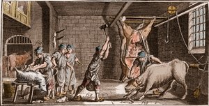ブーシェ - ブッチャー - ブッチャー - ドゥニ・ディドロ（1713-1784）とジャン・ダランベール（1717-1783）による「大百科事典（Encyclopedie, ou Dictionnaire Raisonne des Sciences, des Arts et des Metiers）」（科学、芸術、職業の百科事典または辞典）。