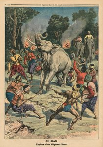 サイアムで白象を捕まえる、「ルプチジャーナル」のイラスト、サプリメントイラストレーター、1911年9月10日（カラーリソ）