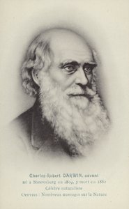 チャールズ・ダーウィン（1809-1882）イギリスの博物学者（リトグラフ）