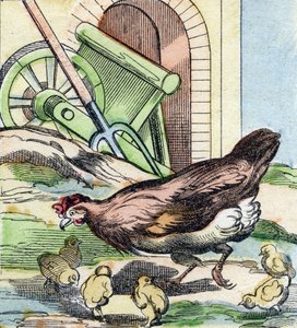 ニワトリとヒヨコ。Buffon Alphabet des Oiseaux n 2 "に掲載されているエングレーヴィング。3rd Serie N 2.エピナルの画像化、エピナル、19世紀後半。16ページ。ディム：28x21cm 作： French School