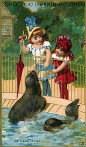 動物園の子供たち、アシカを見て 作： French School