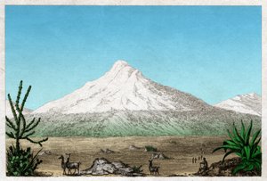 チンボラゾ火山。(エッチング、1840年頃) 作： French School