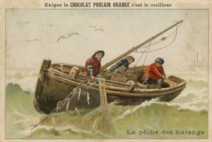 チョコレートフォールオレンジトレードカード 作： French School