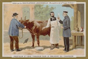 Chocolat dAiguebelleトレードカード