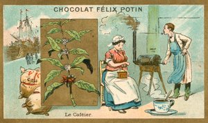 コーヒー（クロモリト 作： French School