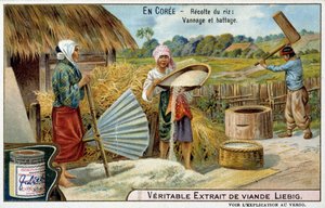 コレ：稲刈り、機織り、脱穀 - クロモ.Liébig, v.1900 作： French School