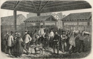 パリ1区プルーヴェール通りの市場でのクリー族の肉屋の肉 - Edmond Texier 1852年の "Tableau-de-Paris "のエングレーヴィング。 作： French School