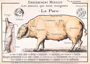 19世紀後半にエディションフェルナンドネイサンによって出版されたH.ドプイトラクによるフランス国内科学マニュアルのイラストの豚肉の切り身