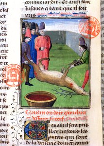 Gaston Phebus de Foix（1331-91）によるLivre de la Chasseからの死んだクワガタの足の切断 作： French School