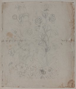 デザイン画、18世紀後半 作： French School