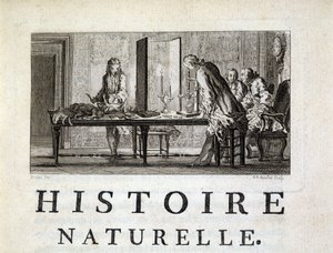 動物の解剖-ビュフォンの「自然界、一般、特殊の歴史」の中で 作： French School