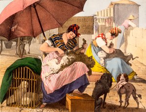 犬のグルーマー、1820 作： French School
