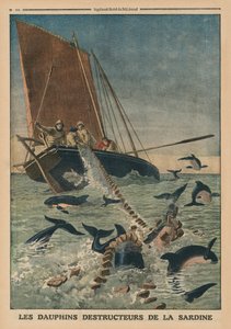 イワシを破壊するイルカ、「ルプチジャーナル」の表紙イラスト、サプリメントイラスト、1913年3月23日 作： French School