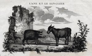 ロバとイノシシ。エソポの寓話。ギリシアの作家エソポまたはエコプス、紀元前6世紀）1801年にギョーム・モンフォールが書き、ボーブルがグラーヴした。 作： French School