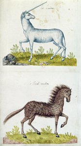ユニコーンと野生の馬の絵（紙にトイレ） 作： French School