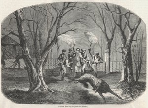 パリの植物園での狼の回避 - Edmond Texier 1852年の「Tableau-de-Paris」に掲載されたエングレーヴィング。 作： French School