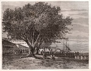 Evian-les-Bains (Evian les Bains) - Haute-Savoie - V.-A. Malt-Brownの "La France illustree: geographie, histoire, administration statistique "に掲載された彫刻。 1884年 作： French School