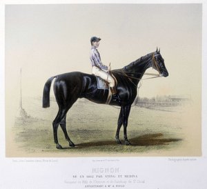 競馬の名馬-「ケンタウルス」1866年掲載 作： French School