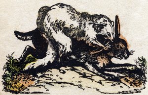フェレット。Alphabet des animaux sauvages "に掲載されている彫刻。9th Serie.エピナルのイメージ、ペラン、印刷出版社、1870年頃。木にステンシルで描かれた版画。16ページ。16ページ。厚さ20×15cm。個人蔵 作： French School