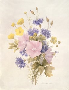 野の花、1842年（紙にトイレ） 作： French School
