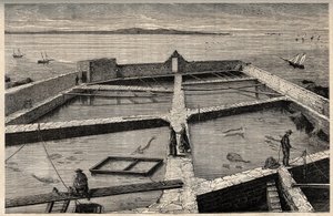 ブルターニュ、コンカルノーの養魚場 フィニステール、ブルターニュ、コンカルノーの養魚場 「PATRIE」の刻印 ルシアン・ユアールのDESCRIPTION PICTUREQUIRESSE DE LA FRANCE EN 6 VOLUES - 19世紀末 作： French School