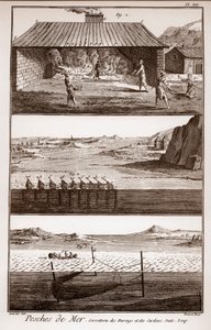Peches de Mer - Sorretterie des herring et des sardines - "La Grande Encyclopedie, ou Dictionnaire Raisonne des Sciences, des Arts et des Metiers" (Encyclopedia or Dictionary of Sciences, Arts et the Profession) by Deni