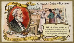 フランソワ＝ヴァンサン・ラスパイユ、フランス人医師（クロモリト 作： French School