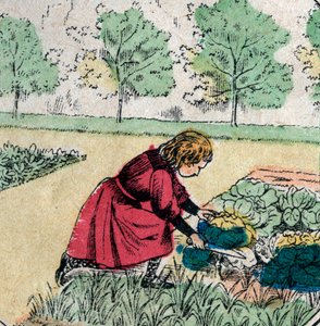 フランスの信念。赤ちゃんはキャベツやバラから生まれると信じている少女が、菜園の新芽を切っている - エピナルの絵 - 19世紀 (エングレービング) 作： French School