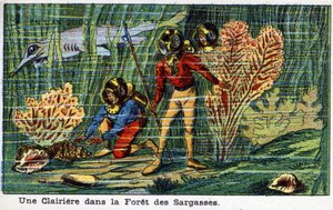 Futuredays:19世紀に描かれた2000年のビジョン - シリーズ「2000年に」。サルガッソーの森（海中）の空き地。ヴィレマールのクロモリトグラフ 作： French School