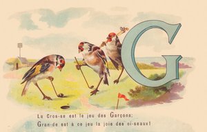 G：ラクロスはボーイズのゲームです。このゲームで素晴らしいのは鳥の喜びです