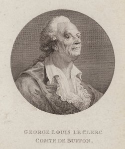 Georges-Louis Leclerc, Comte de Buffon, French Naturalist (carving) 作： French School
