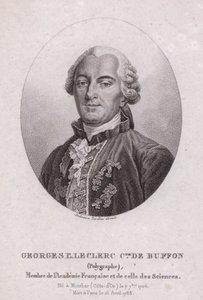 Georges-Louis Leclerc, Comte de Buffon, フランスの科学者・作家（彫刻作品 作： French School