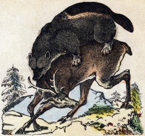 大食漢。Alphabet des animaux sauvages "に掲載されている版画。9th Serie.エピナルのイメージ、ペラン、印刷・出版業者、1870年頃。木にステンシルで描かれた版画。16ページ。16ページ。厚さ20×15cm。個人蔵 作： French School