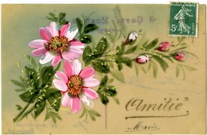 草花で挨拶。20世紀初頭の絵葉書。 作： French School