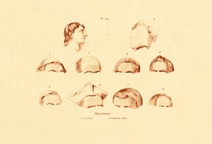ヘッズ、1833-39 作： French School