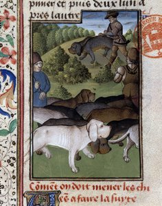 狩猟犬 - "ベアルン伯爵フォワ伯爵ガストン・フィーバスの狩猟書 "にて