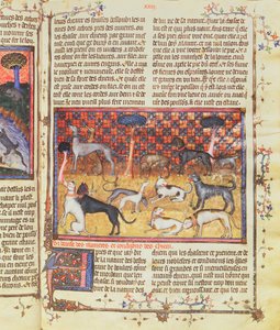 ガストン3世の狩猟犬、コントデフォワフェブスルシャサー（1331-91）、リブレデラシャス、1387-89年（羊皮紙のガッシュ）